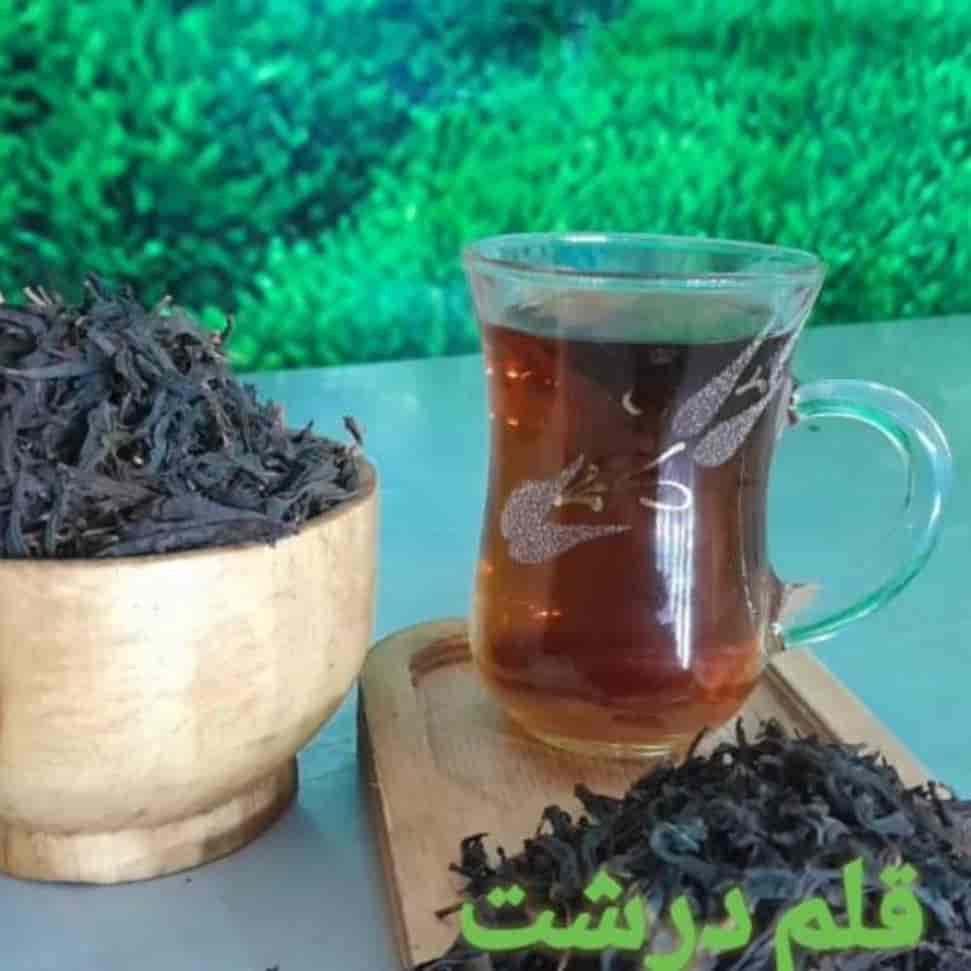 چای قلم درشت