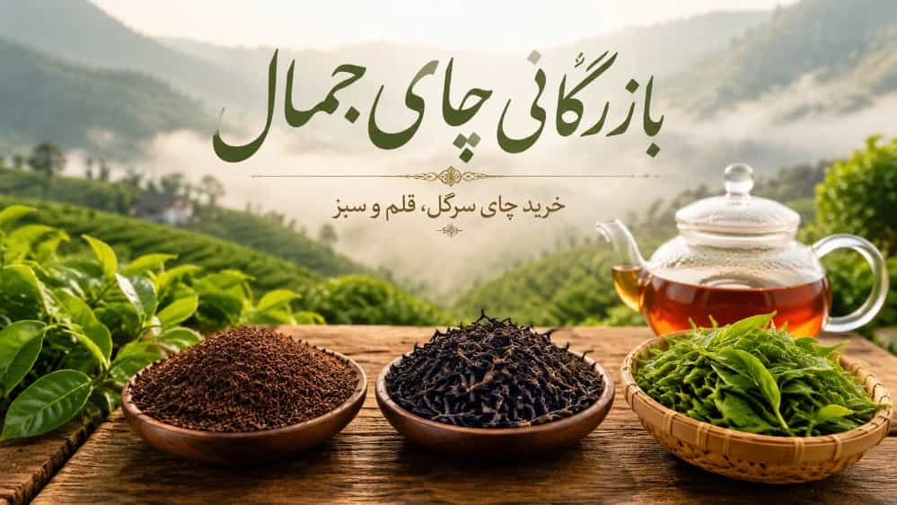 خرید چای سرگل و قلم لیزر و سبز از بازرگانی چای جمال لنگرود