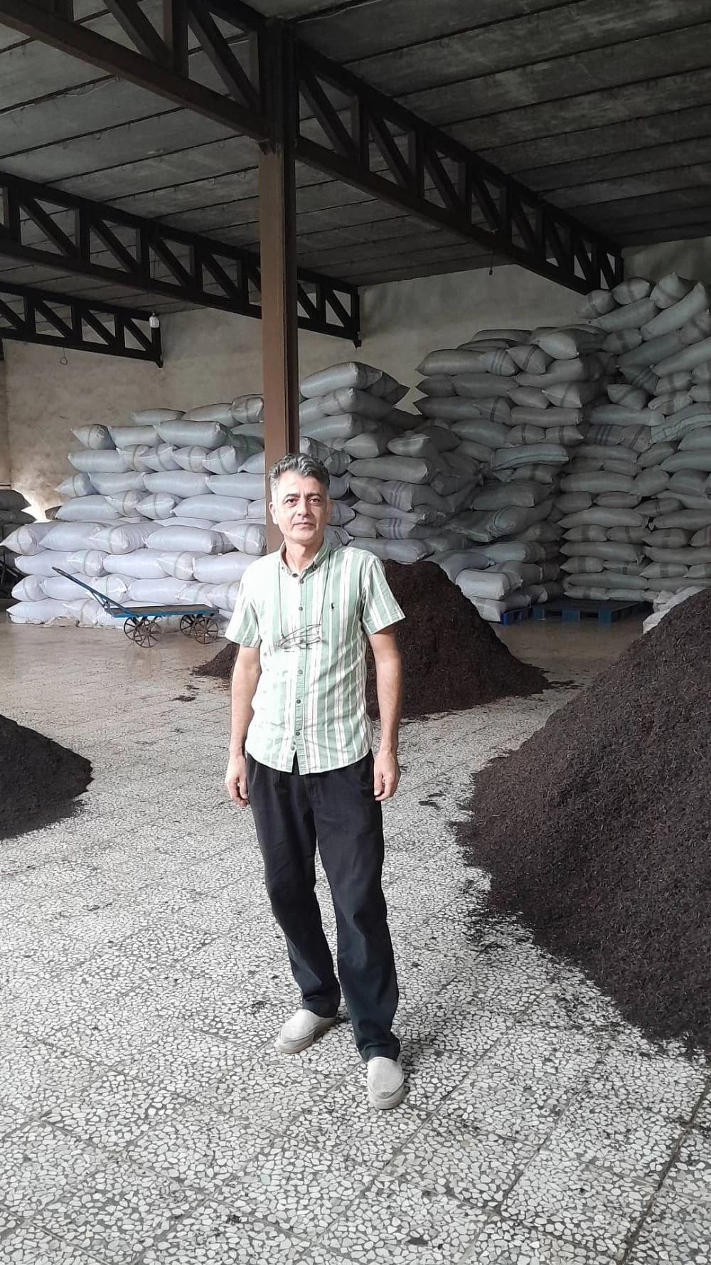 بازرگانی چای جمال
